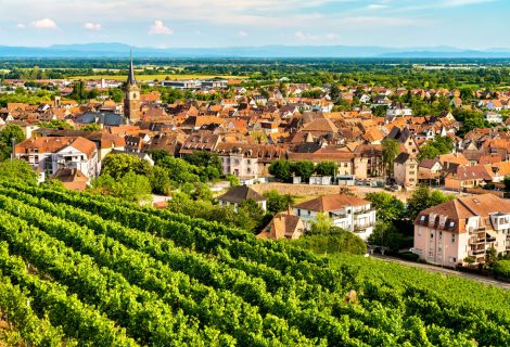 IStock 1260081260. 2jpg