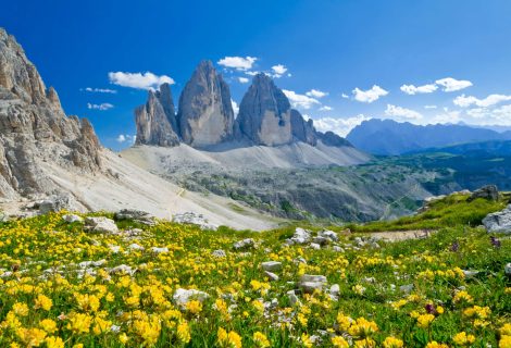 IStock 1266461182 2.0 IStock 1266461182 2.0
