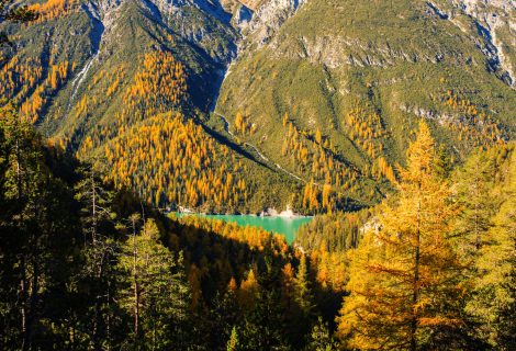 IStock 876174634 Indian Summer 2.0