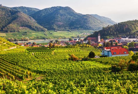 IStock 968925124. 2jpg